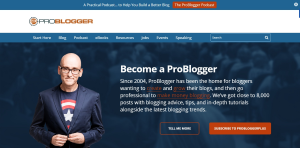 Pro Blogger